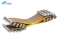 Double Rows IDC Ribbon Cable Custom Conductor Length 0.3m 2KV 10mA Withstand Voltage